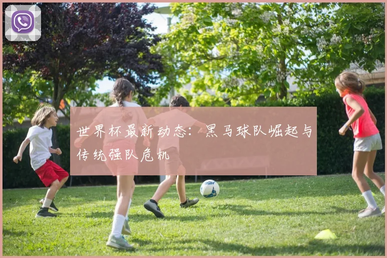 世界杯最新动态:黑马球队崛起与传统强队危机