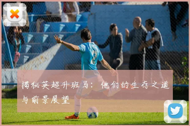 揭秘英超升班马：他们的生存之道与前景展望