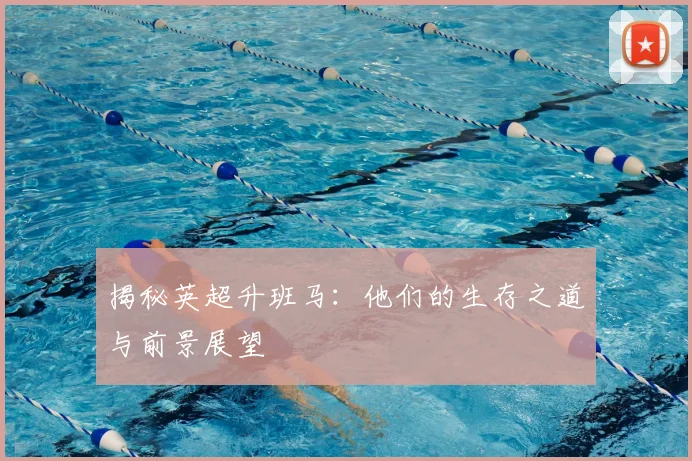 揭秘英超升班马:他们的生存之道与前景展望
